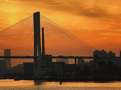 -上海吴淞炮台湾国家湿地公园