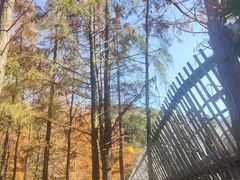 -梅峰山地公园