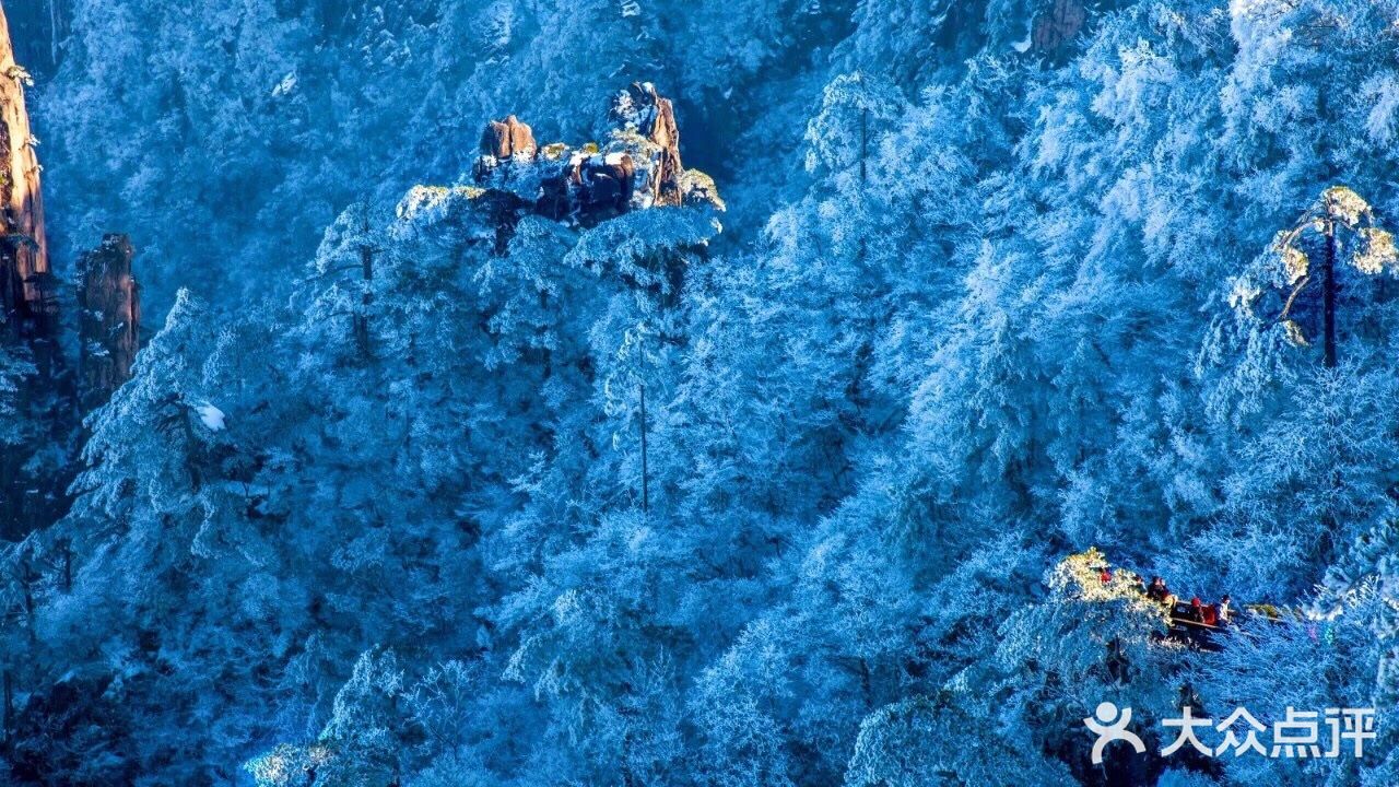 【博洋视线】 难忘黄山雪️ 云和雪都恋着这山峦