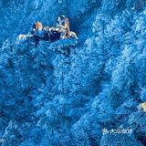 【博洋视线】 难忘黄山雪️ 云和雪都恋着这山峦