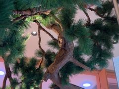 -桂满陇·蟹黄小笼汤包(中山公园店)