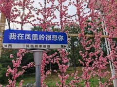 -北京凤凰岭