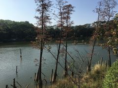 -金山植物公园