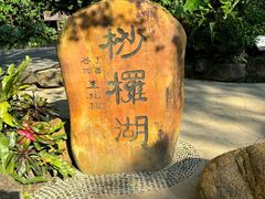 -深圳仙湖植物园