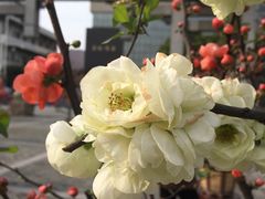 -荆川公园