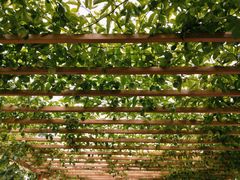 -中国天府农业博览园