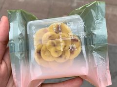 -蒲公英(五里店)