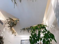 -尤加利咖啡馆