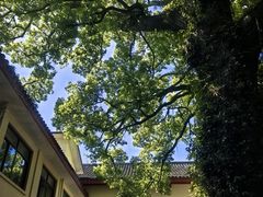 -普陀山雷迪森庄园