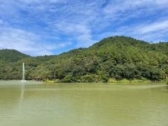 -广州白江湖森林公园