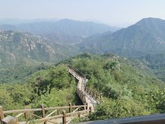 -大岭沟猕猴桃谷风景区