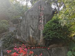-仙岳公园