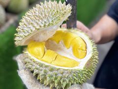 -Ah Hung D24 Sultan Durian