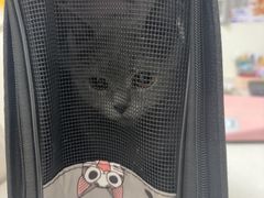-美联众合24小时·皮肤科·外科·全科诊疗中心(华苑分院)