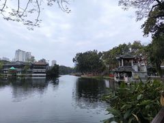 -荔湾湖公园