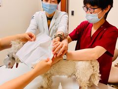-美联众合动物医院·24h转诊中心
