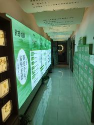 -阅年轻·AI家庭健康体质调理
