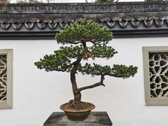 -杭州植物园