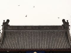 -天津大悲禅院