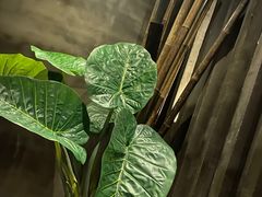 -观唐足道SPA养生会馆(南湖店)