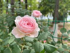 -中共中央农民运动讲习所旧址