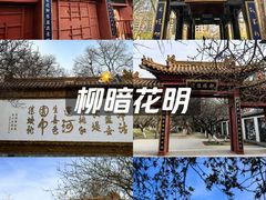 -桃花堤公园