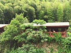 -宁波余姚老柿林山居度假村
