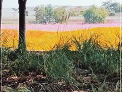 -江苏三台山国家森林公园