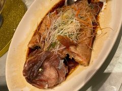 -榕树下海鲜馆(坪山路店)