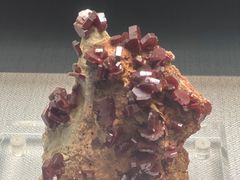 -湖南省地质博物馆