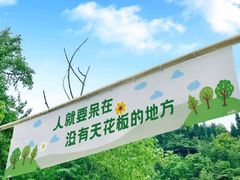 -南山特攻真人CS户外露营轰趴拓展基地