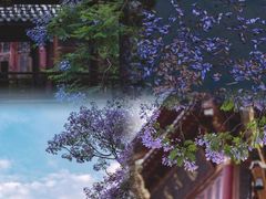 -龙潭水乡