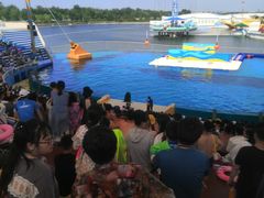 -秦皇岛乐岛海洋王国