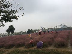 -金卉庄园