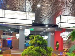 -洞庭家宴·头牌甲鱼(广渠门店)