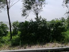 -呼兰河口湿地公园
