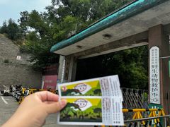 -保定市动物园