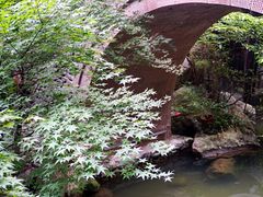 -鱼桥巷·美学川菜