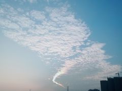 -三水森林公园
