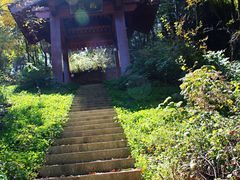 -少华山国家森林公园