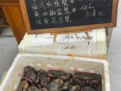 -金螃蟹