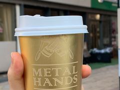 燕麦金雀花-METAL HANDS(五道营店)
