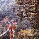 - 玻璃桥：全透明高空景观玻璃桥，达168米