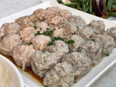 -胜记烧鹅美食
