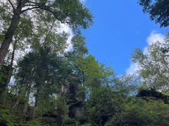 -汤旺河林海奇石景区