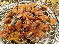 大壮家大块肉-大壮家原味烤肉(兴华北街店)