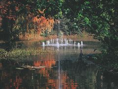 -上海共青森林公园