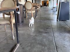 -喜洲吧·江畔老船厂·庭院餐厅(喜临院店)