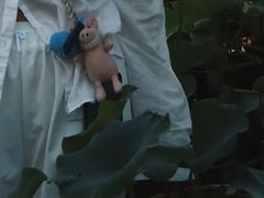 -合肥滨湖国家森林公园