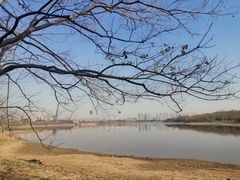 -盘龙城国家考古遗址公园